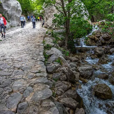 - Paklenica Riviera 35389 Селине